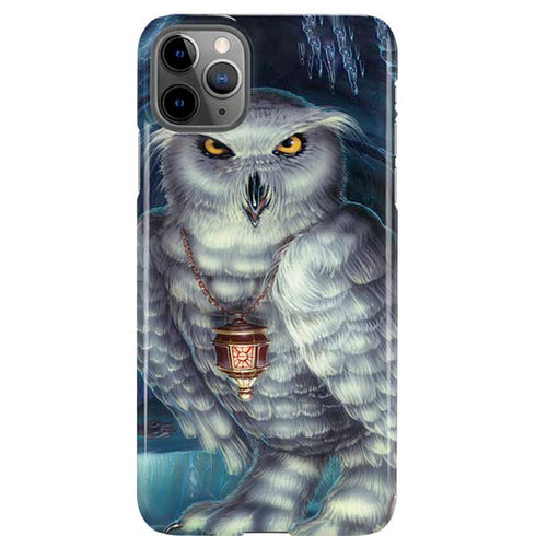 White Owl by Ed Beard Jr iPhone Cases